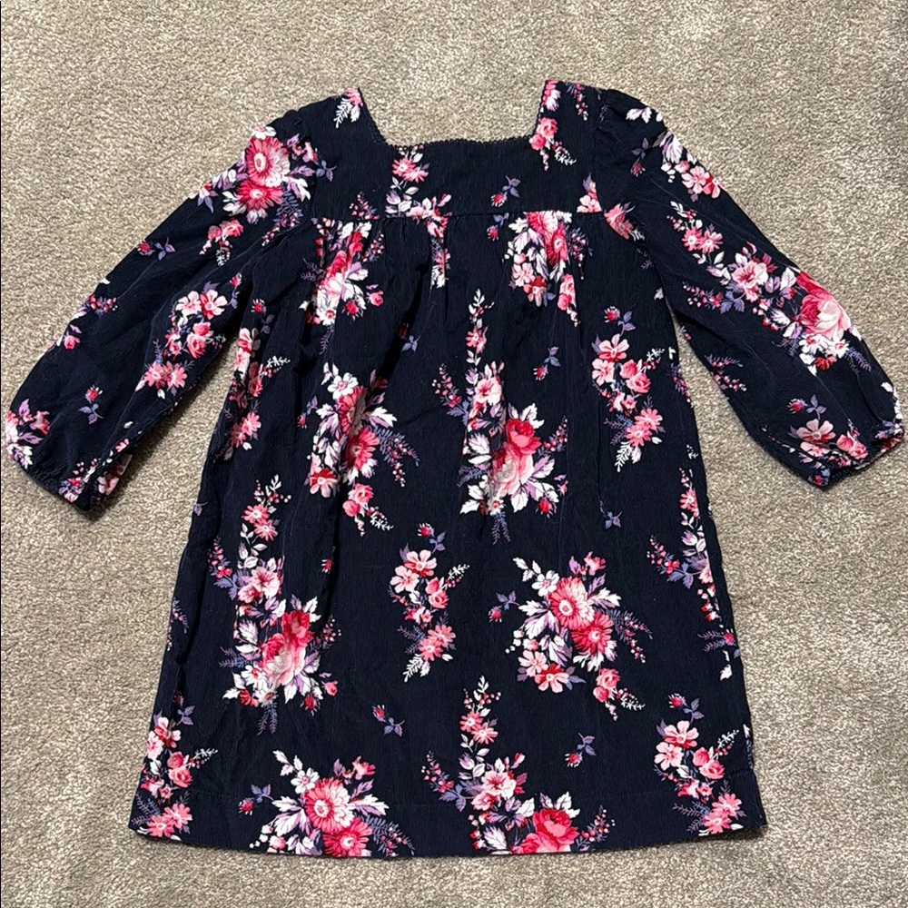 Baby Gap girls dress